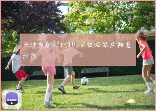 长沙勇胜95比101不敌石家庄翔蓝 组图